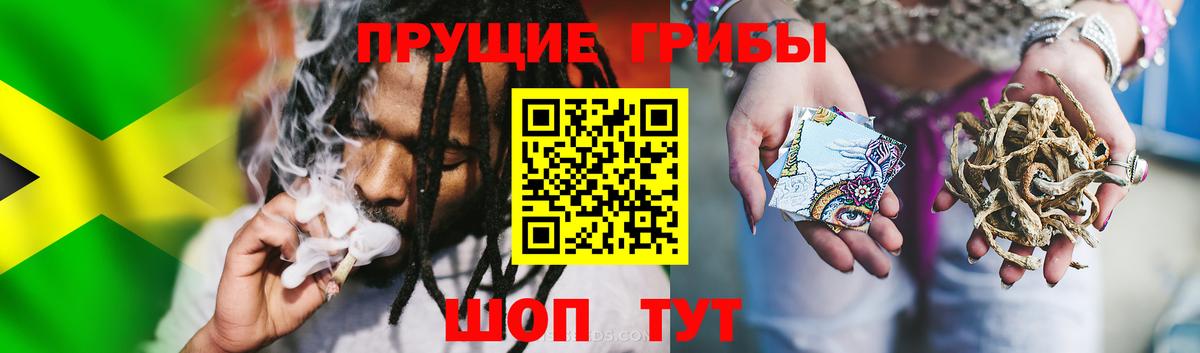 Псилоцибиновые грибы Cubensis Воткинск