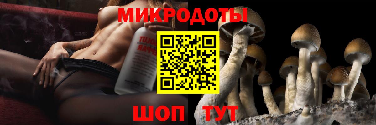 Галлюциногенные грибы MAGIC MUSHROOMS  Псилоцибиновые грибы Psilocybe  даркнет сайт  Вход с VPN  Воткинск 